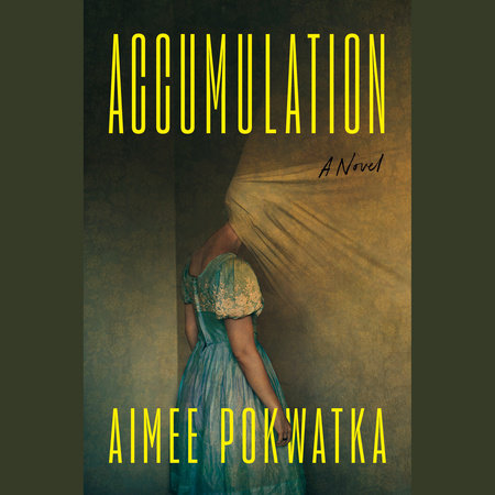 Accumulation by Aimee Pokwatka