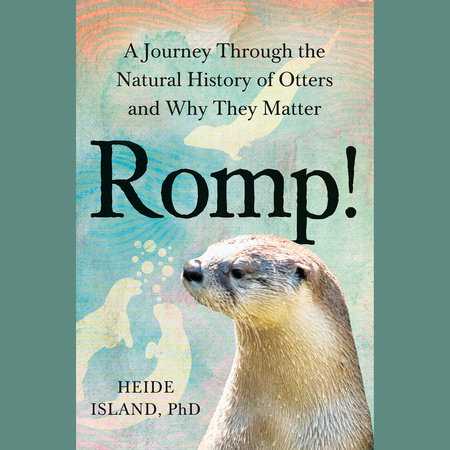 Romp! by Heide Island, PhD