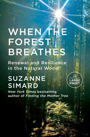 When the Forest Breathes by Suzanne Simard