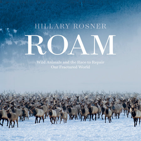 Roam by Hillary Rosner