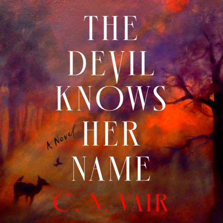 The Devil Knows Her Name by C. N. Vair