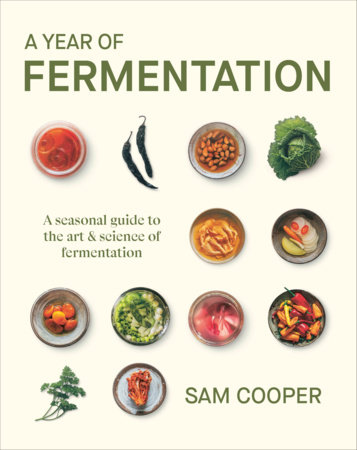 A Year of Fermentation by Sam Cooper