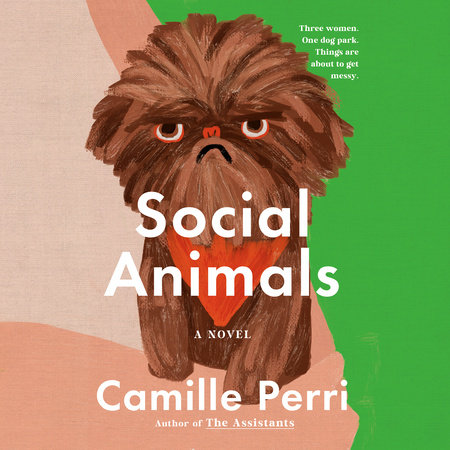 Social Animals by Camille Perri