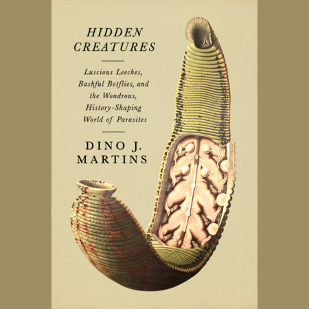 Hidden Creatures by Dino Martins