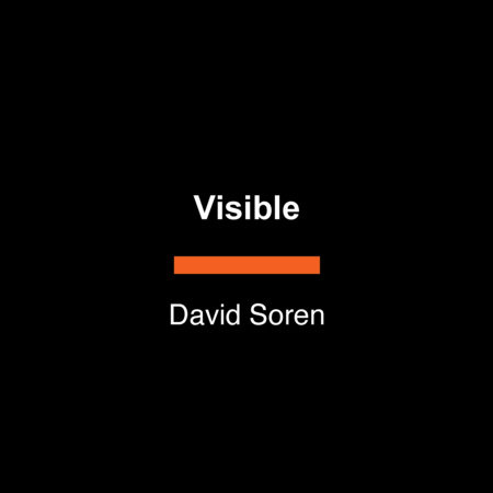 Visible by David Soren