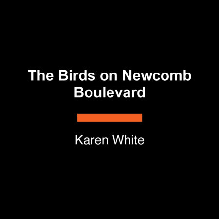 The Birds on Newcomb Boulevard by Karen White