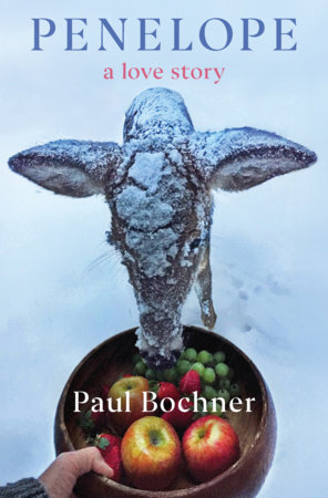 Penelope by Paul Bochner