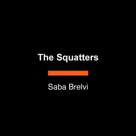 The Squatters by Saba Brelvi