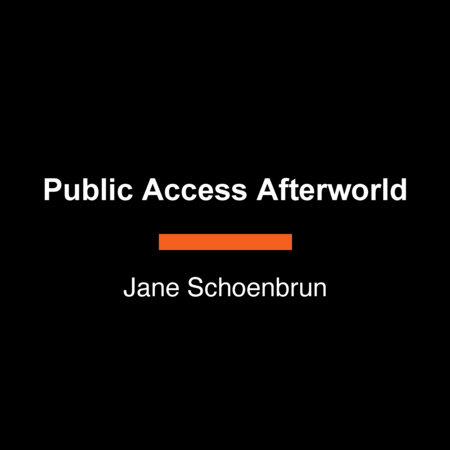 Public Access Afterworld by Jane Schoenbrun