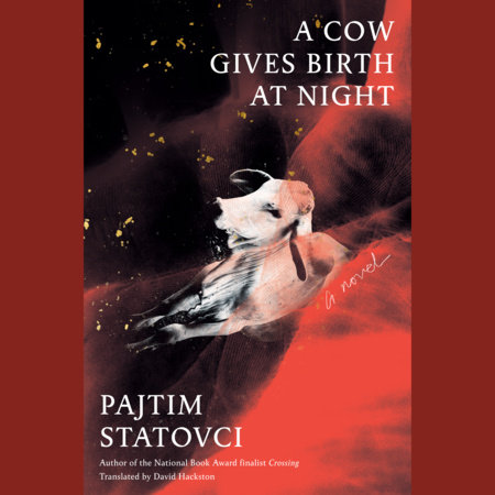 A Cow Gives Birth at Night by Pajtim Statovci