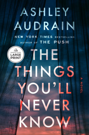 The Things You'll Never Know by Ashley Audrain