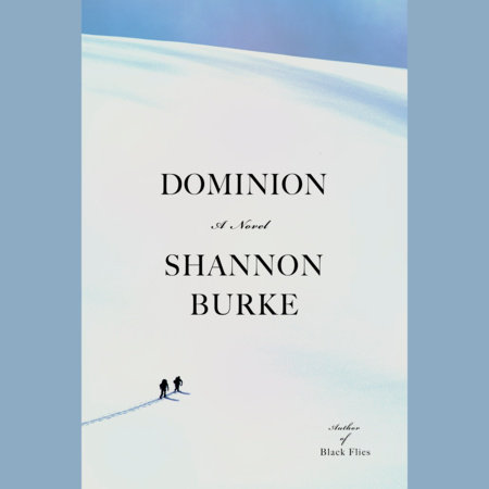 Dominion by Shannon Burke