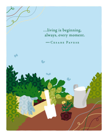 Positively Green Greeting Cards: Birthday - Living is beginning, always, every (Pack of 6) by 