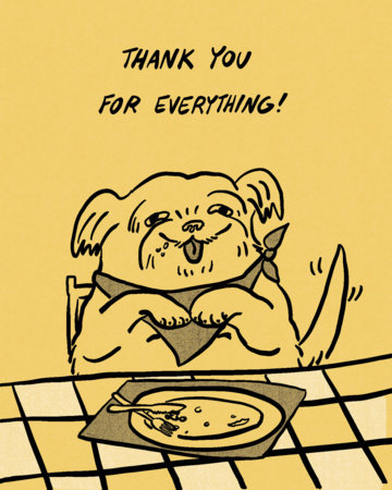 Humor Us Greeting Cards: Thank You - Thank you for everything! (Pack of 6) by 