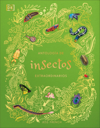 Antología de insectos extraordinarios (An Anthology of Remarkable Bugs) by Jess French