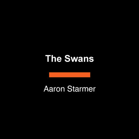 The Swans by Aaron Starmer