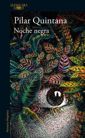 Noche negra / Dark Night by Pilar Quintana