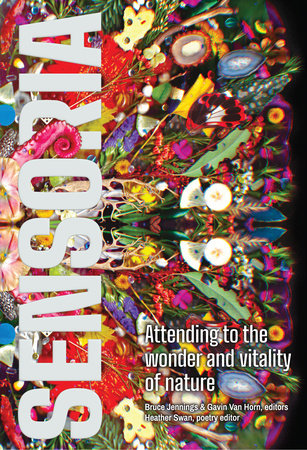 Sensoria by Bruce Jennings