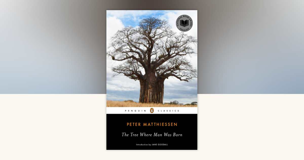 洋書 THE BEGINNING WAS THE END by MAERTH 洋書 THE BEGINNING WAS THE END by MAERTH Beginning Was the