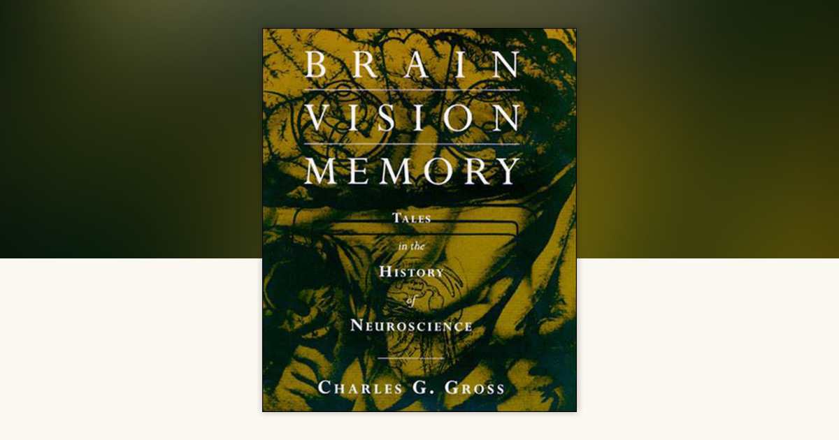 Brain, Vision, Memory by Charles G. Gross: 9780262571357