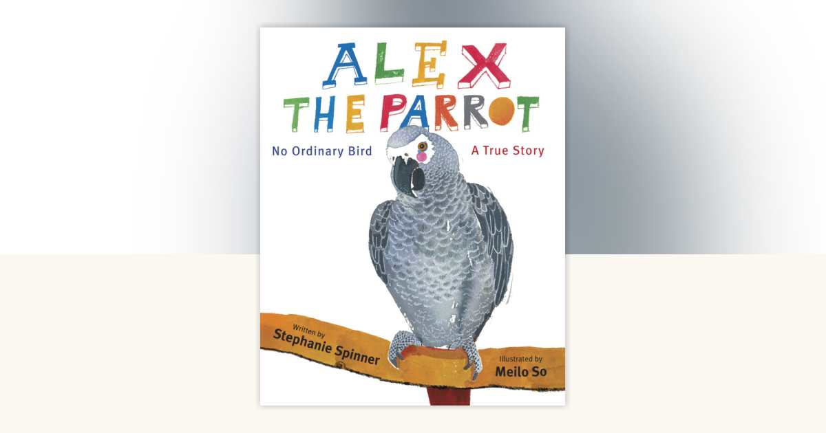 Alex the Parrot: No Ordinary Bird by Stephanie Spinner