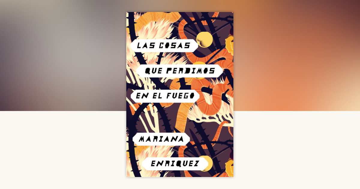 las-cosas-que-perdimos-en-el-fuego-things-we-lost-in-the-fire-by