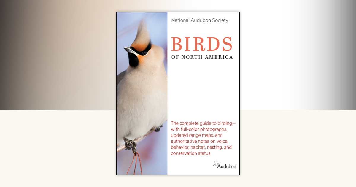 洋書 2013 and 2015 National Audubon Society 2013 and 2015 National Audubon Society 洋書