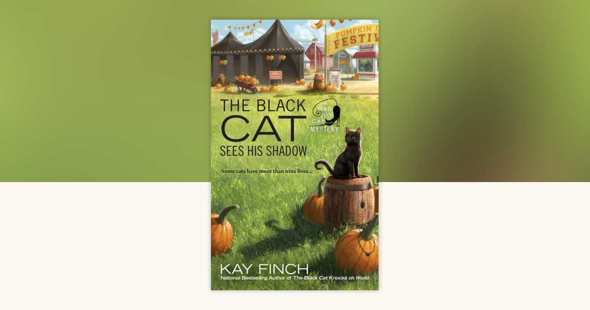 The Black Cat Sees His Shadow by Kay Finch: 9780698162044 ...