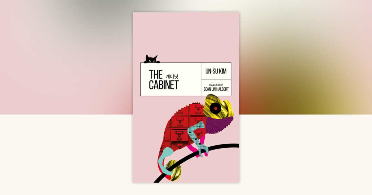 The by Unsu Kim 9780857669179 Books