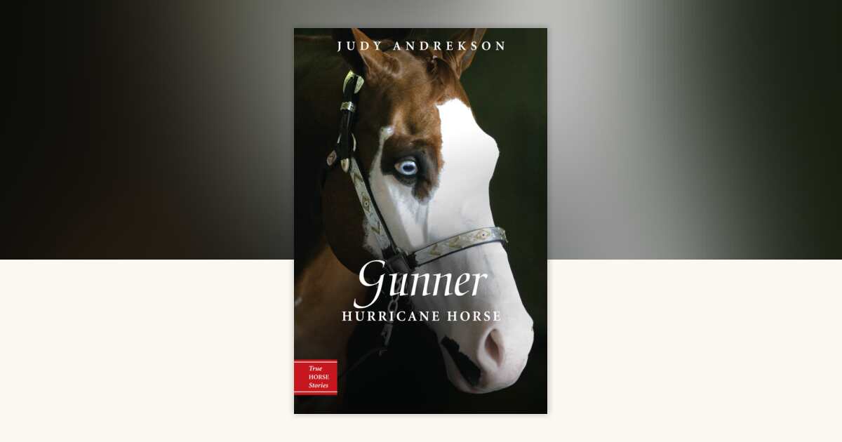 Gunner by Judy Andrekson: 9780887769054 | PenguinRandomHouse.com: Books