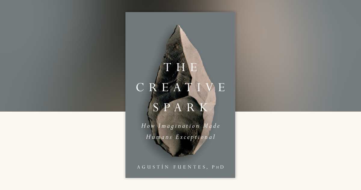 The Creative Spark by Agustín Fuentes: 9781101983942 ...