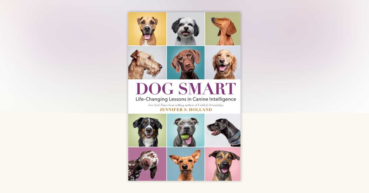 Dog Smart by Jennifer S. Holland: 9781426222719 | PenguinRandomHouse ...