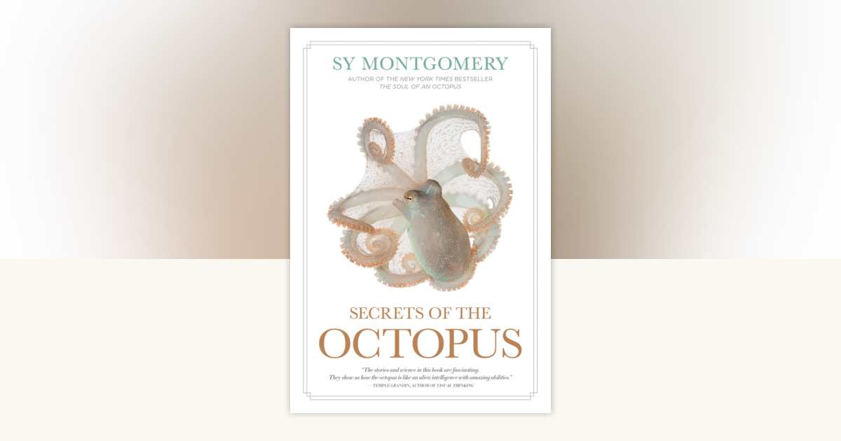 Tara Books   “The Undecided Octopus ” 71KcOHi+gSL._UF350,350_QL50_.jpg