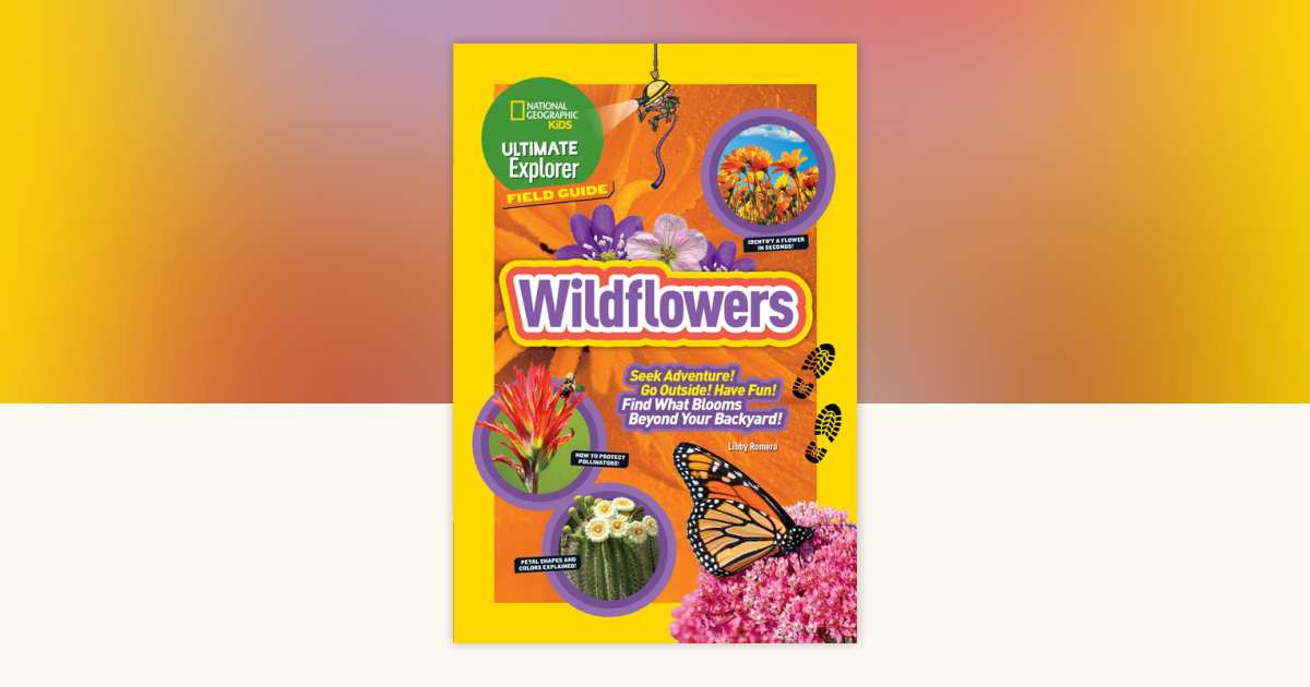 Ultimate Explorer Field Guide: Wildflowers by Libby Romero