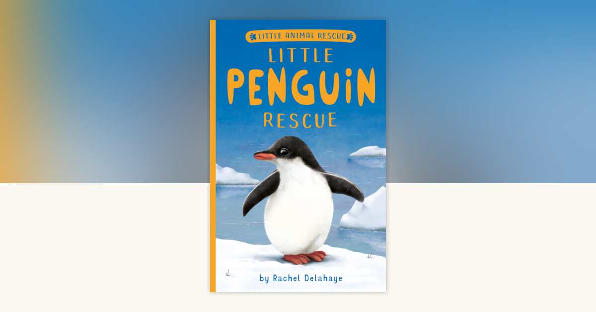 Little Penguin Rescue by Rachel Delahaye: 9781680104677 ...