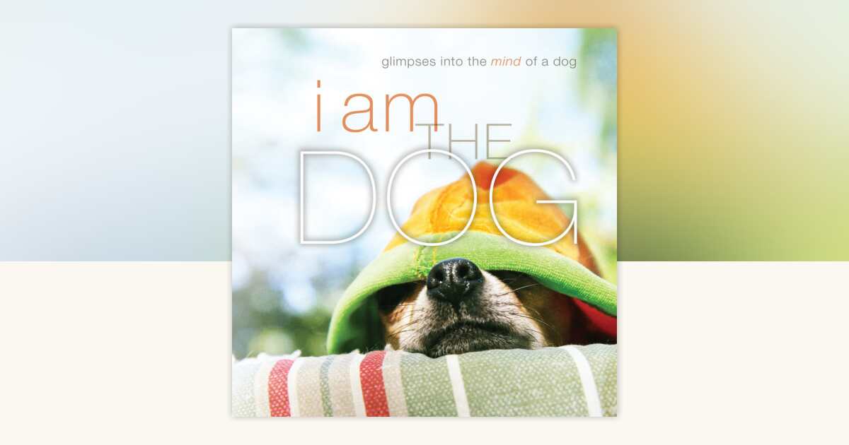 I Am the Dog by Liz Abeler Blaylock: 9781944833015 | PenguinRandomHouse ...