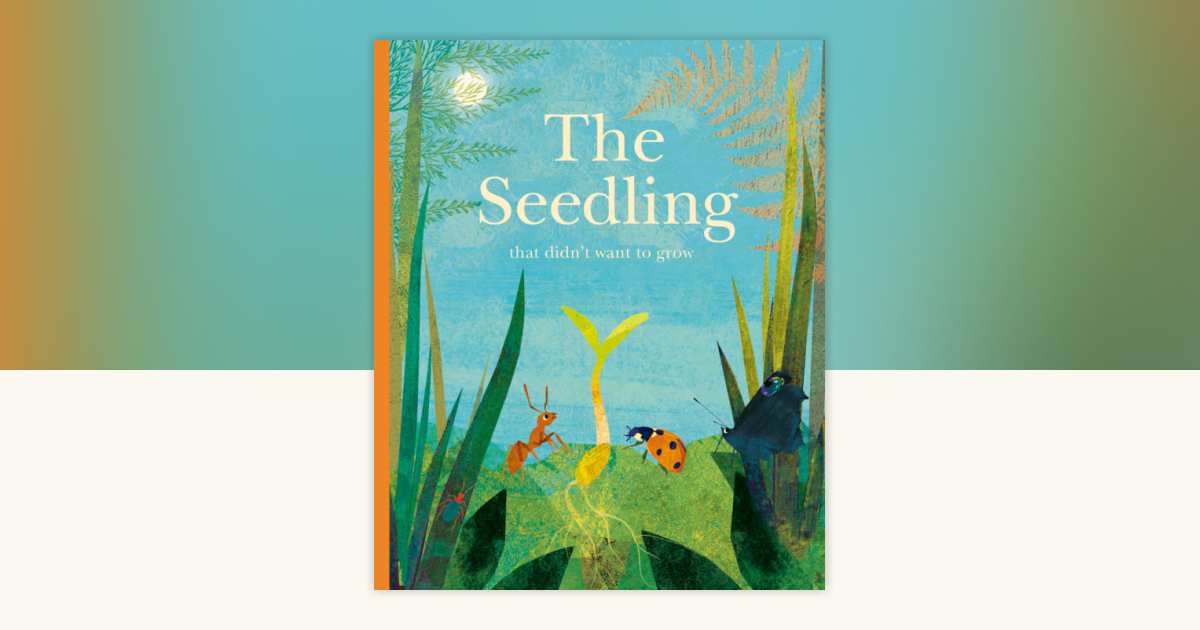 D*y様 the seedling ＆ Sprout Thomas Campbe Amazon.com: The